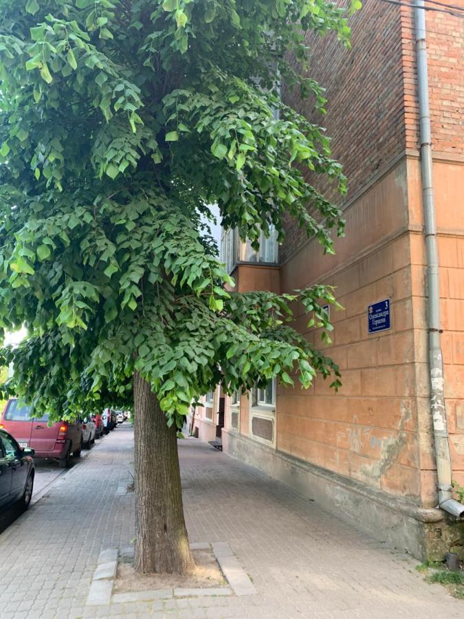 Vel Люкс Apartment Chernivtsi Exterior photo